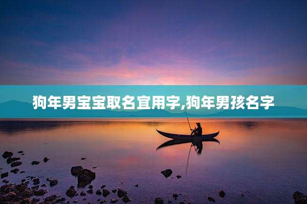 狗年男宝宝取名宜用字,狗年男孩名字