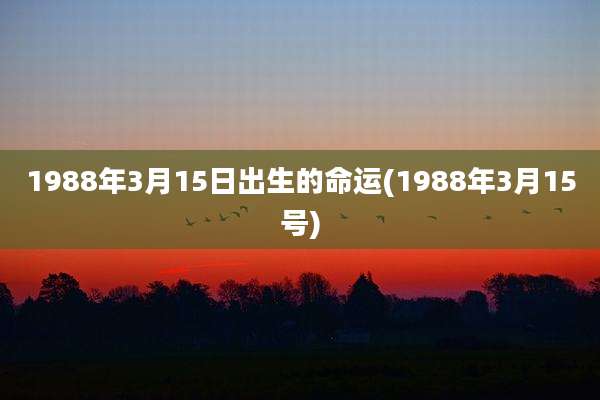 1988年3月15日出生的命运(1988年3月15号)