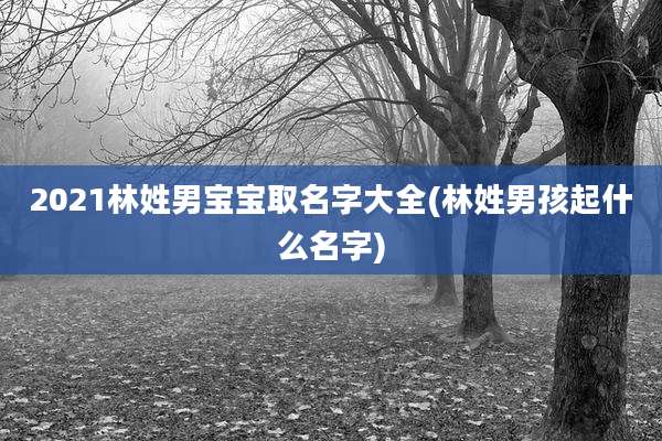 2021林姓男宝宝取名字大全(林姓男孩起什么名字)
