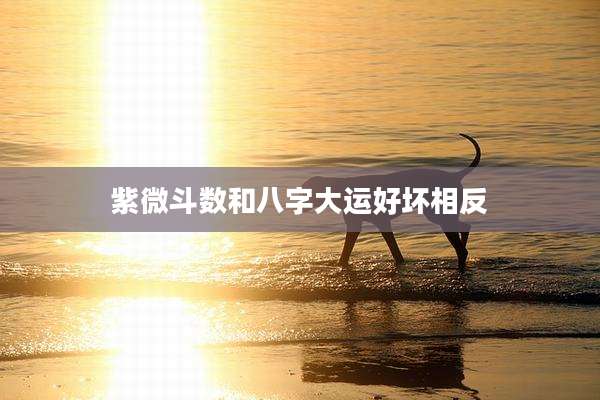 紫微斗数和八字大运好坏相反