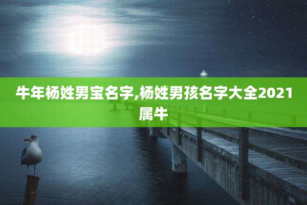 牛年杨姓男宝名字,杨姓男孩名字大全2021属牛