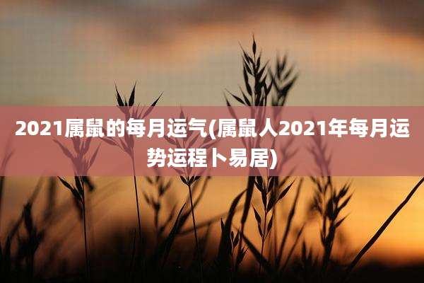 2021属鼠的每月运气(属鼠人2021年每月运势运程卜易居)