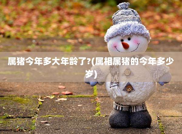 属猪今年多大年龄了?(属相属猪的今年多少岁)