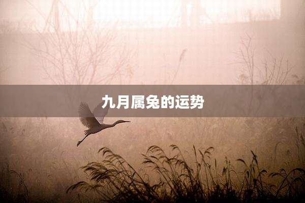 九月属兔的运势