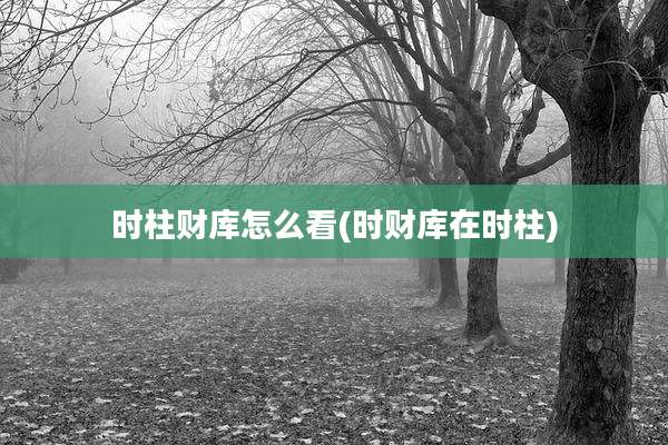 时柱财库怎么看(时财库在时柱)