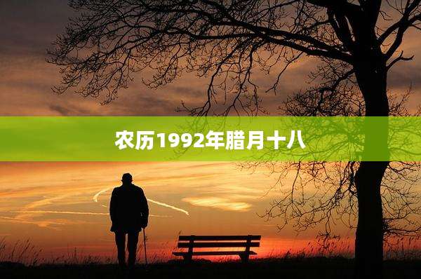 农历1992年腊月十八