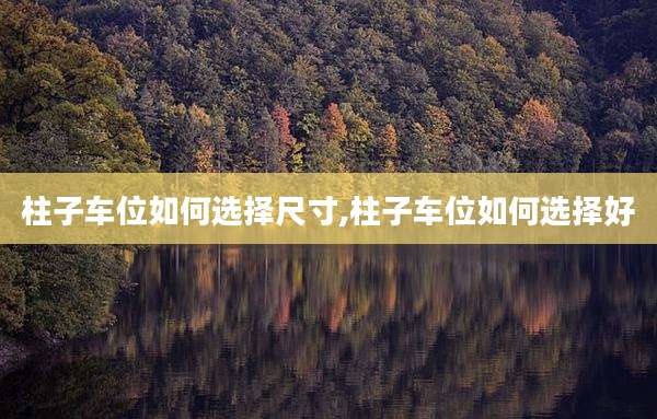 柱子车位如何选择尺寸,柱子车位如何选择好
