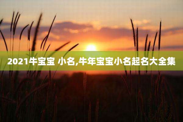 2021牛宝宝 小名,牛年宝宝小名起名大全集