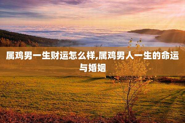 属鸡男一生财运怎么样,属鸡男人一生的命运与婚姻