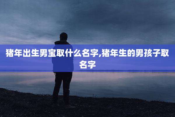 猪年出生男宝取什么名字,猪年生的男孩子取名字