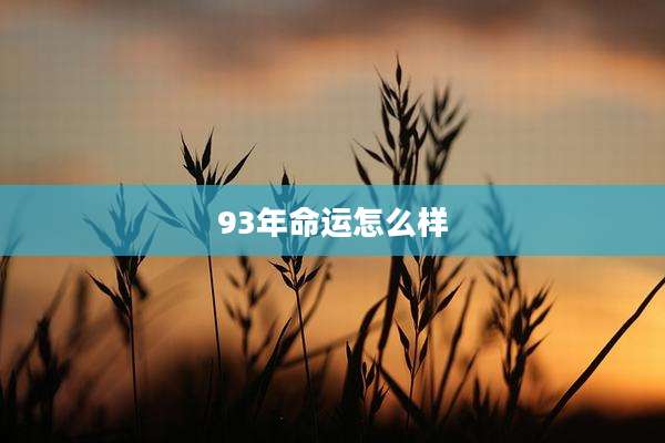 93年命运怎么样