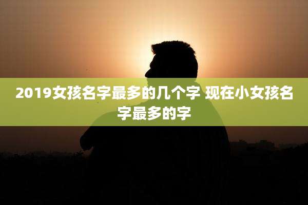 2019女孩名字最多的几个字 现在小女孩名字最多的字
