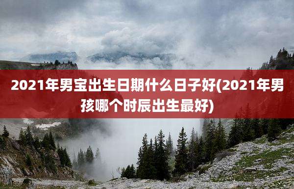 2021年男宝出生日期什么日子好(2021年男孩哪个时辰出生最好)