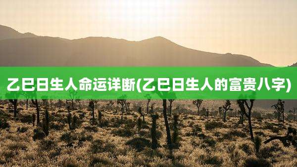 乙巳日生人命运详断(乙巳日生人的富贵八字)