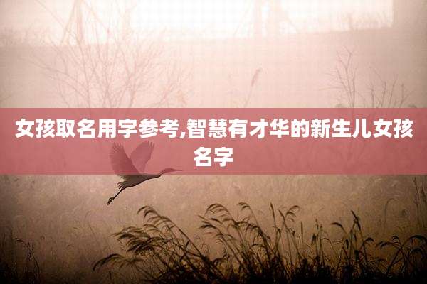 女孩取名用字参考,智慧有才华的新生儿女孩名字