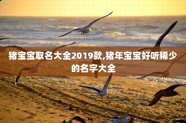 猪宝宝取名大全2019款,猪年宝宝好听稀少的名字大全