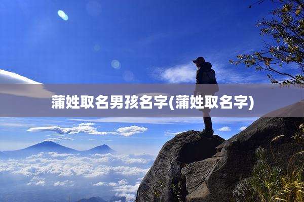 蒲姓取名男孩名字(蒲姓取名字)