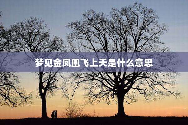 梦见金凤凰飞上天是什么意思