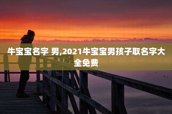 牛宝宝名字 男,2021牛宝宝男孩子取名字大全免费