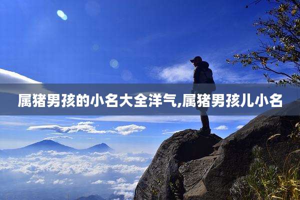 属猪男孩的小名大全洋气,属猪男孩儿小名