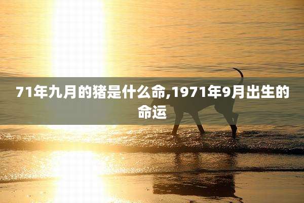 71年九月的猪是什么命,1971年9月出生的命运