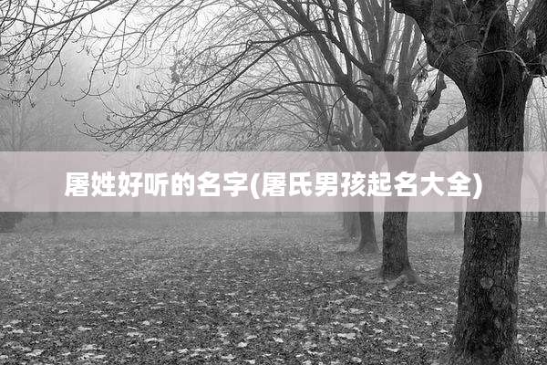 屠姓好听的名字(屠氏男孩起名大全)