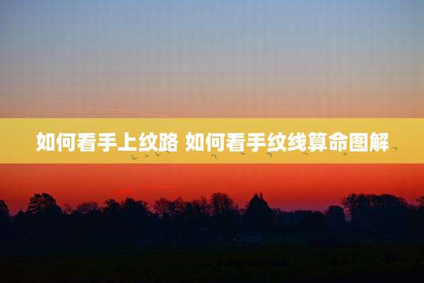 如何看手上纹路 如何看手纹线算命图解