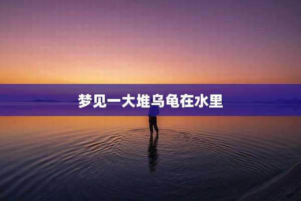 梦见一大堆乌龟在水里