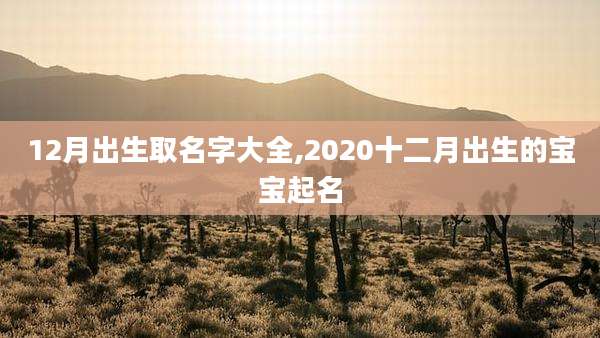 12月出生取名字大全,2020十二月出生的宝宝起名