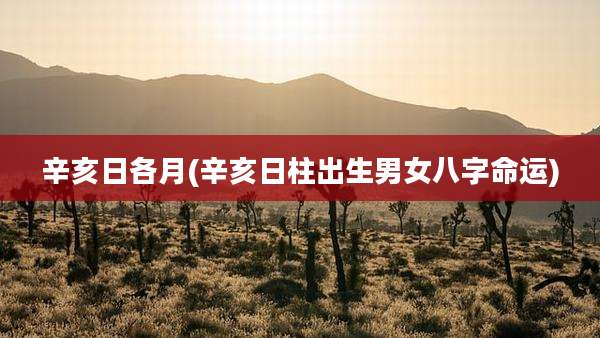 辛亥日各月(辛亥日柱出生男女八字命运)