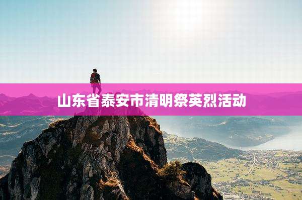 山东省泰安市清明祭英烈活动