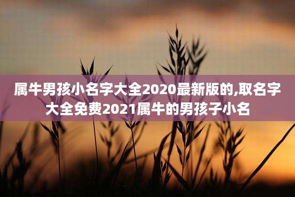 属牛男孩小名字大全2020最新版的,取名字大全免费2021属牛的男孩子小名