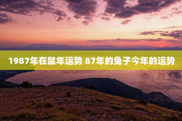 1987年在鼠年运势 87年的兔子今年的运势