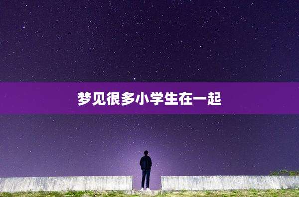 梦见很多小学生在一起