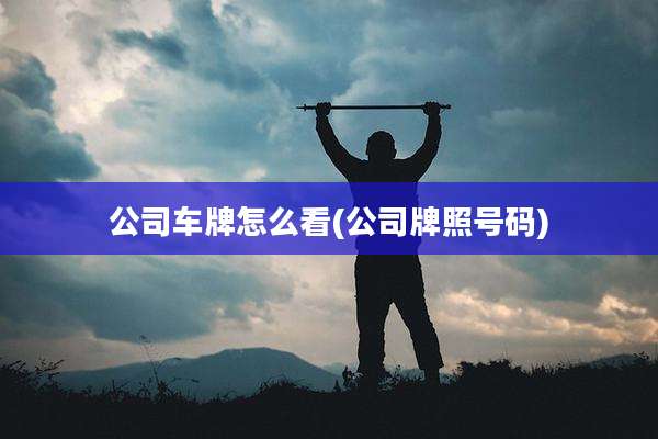 公司车牌怎么看(公司牌照号码)