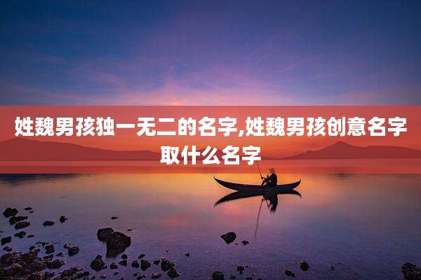 姓魏男孩独一无二的名字,姓魏男孩创意名字取什么名字