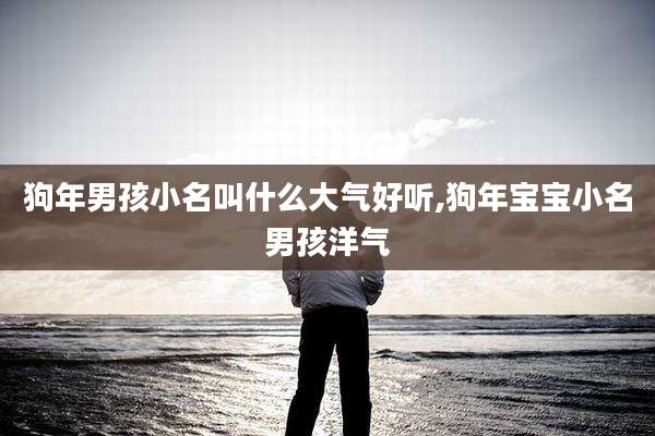 狗年男孩小名叫什么大气好听,狗年宝宝小名男孩洋气