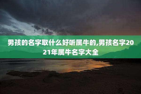 男孩的名字取什么好听属牛的,男孩名字2021年属牛名字大全