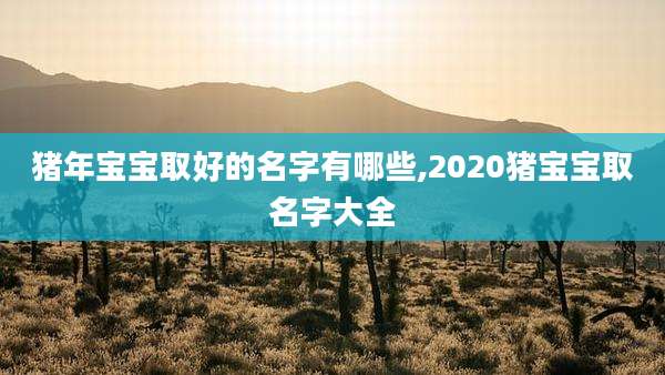 猪年宝宝取好的名字有哪些,2020猪宝宝取名字大全