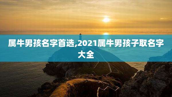 属牛男孩名字首选,2021属牛男孩子取名字大全