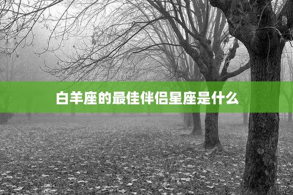 白羊座的最佳伴侣星座是什么