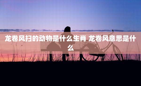 龙卷风扫的动物是什么生肖 龙卷风意思是什么