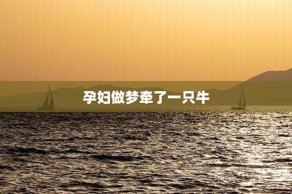 孕妇做梦牵了一只牛