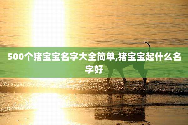 500个猪宝宝名字大全简单,猪宝宝起什么名字好