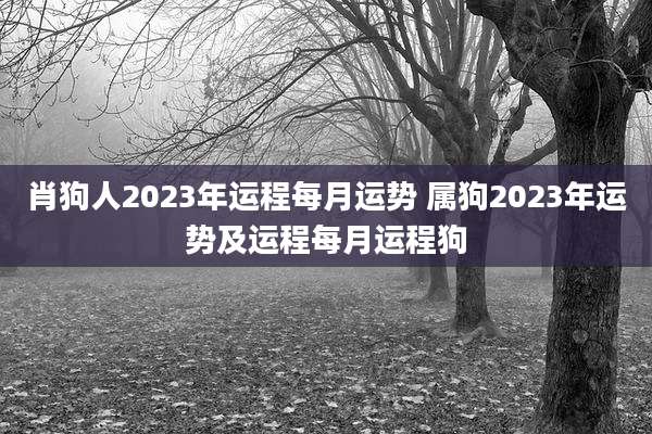 肖狗人2023年运程每月运势 属狗2023年运势及运程每月运程狗