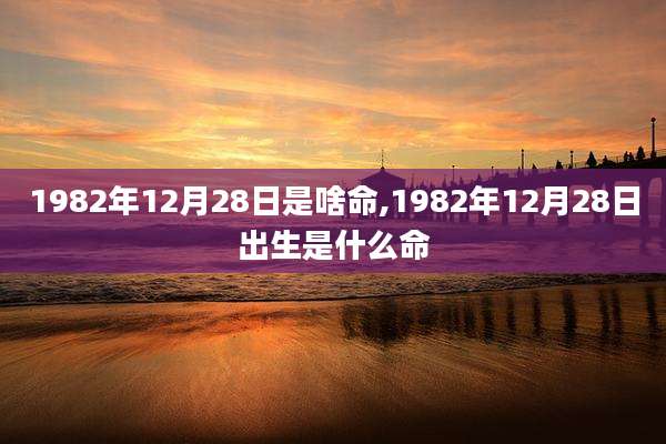 1982年12月28日是啥命,1982年12月28日出生是什么命