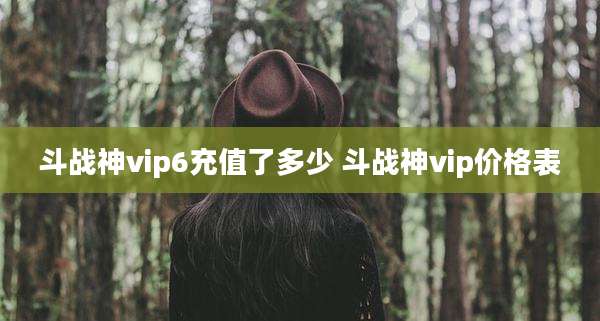 斗战神vip6充值了多少 斗战神vip价格表