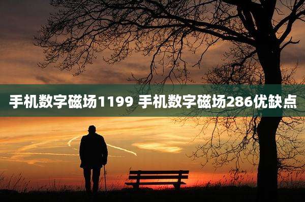 手机数字磁场1199 手机数字磁场286优缺点