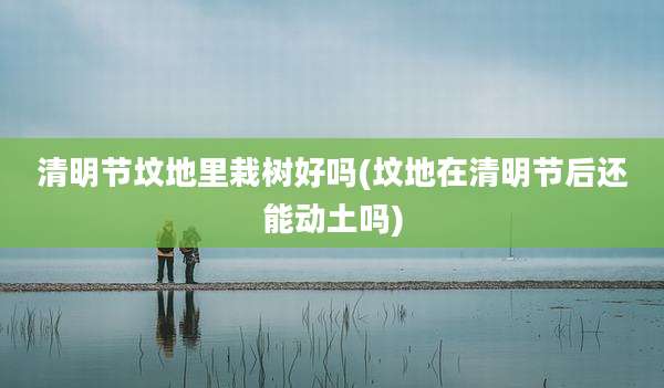 清明节坟地里栽树好吗(坟地在清明节后还能动土吗)