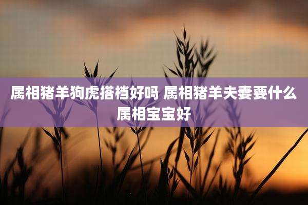 属相猪羊狗虎搭档好吗 属相猪羊夫妻要什么属相宝宝好